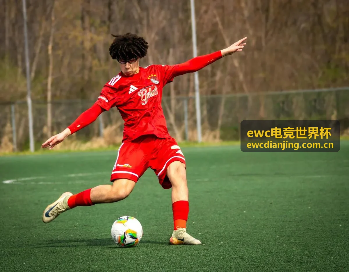 EWC深度观察